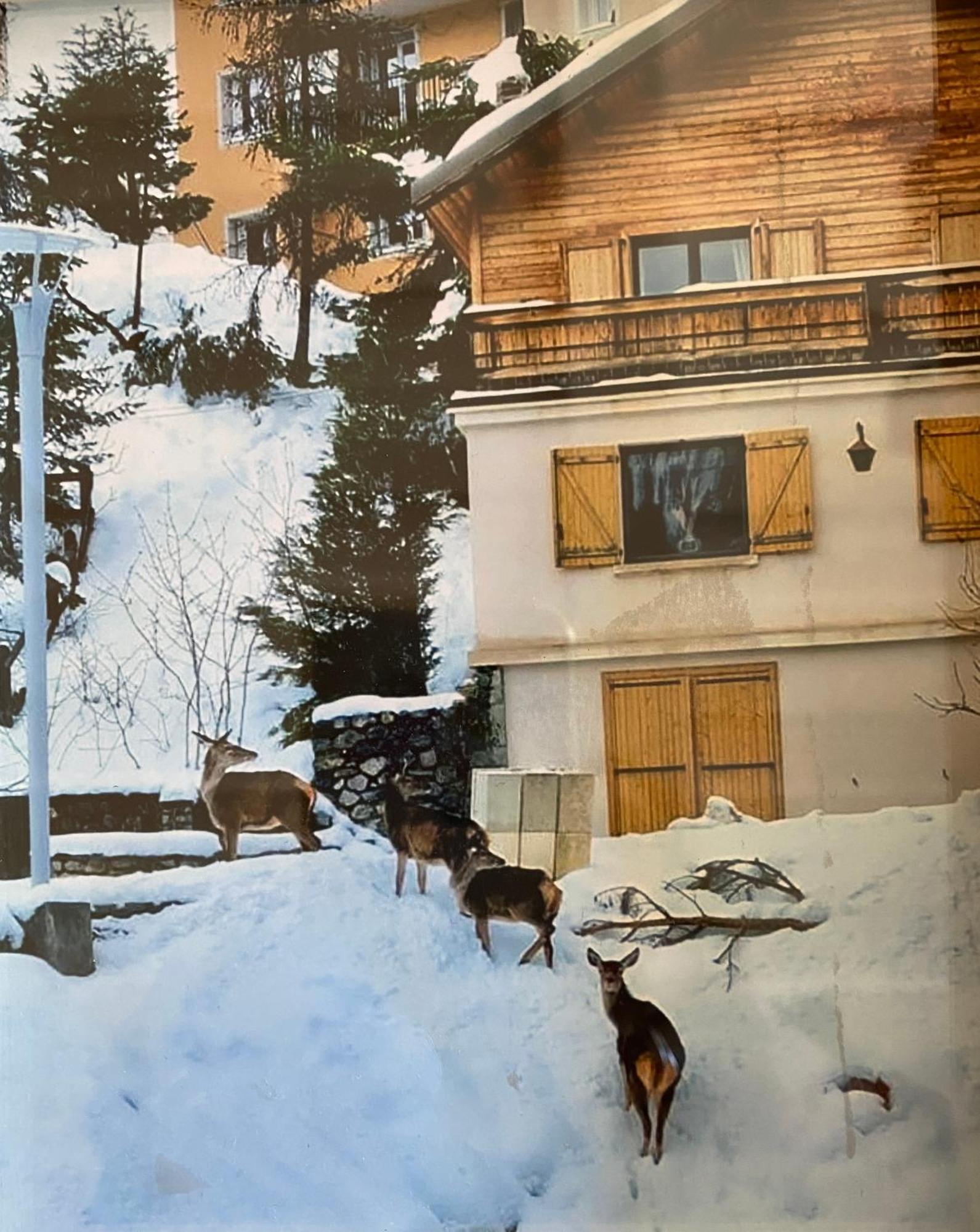 Familial Auron