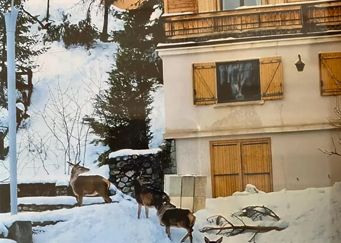 Chalet Familial Auron